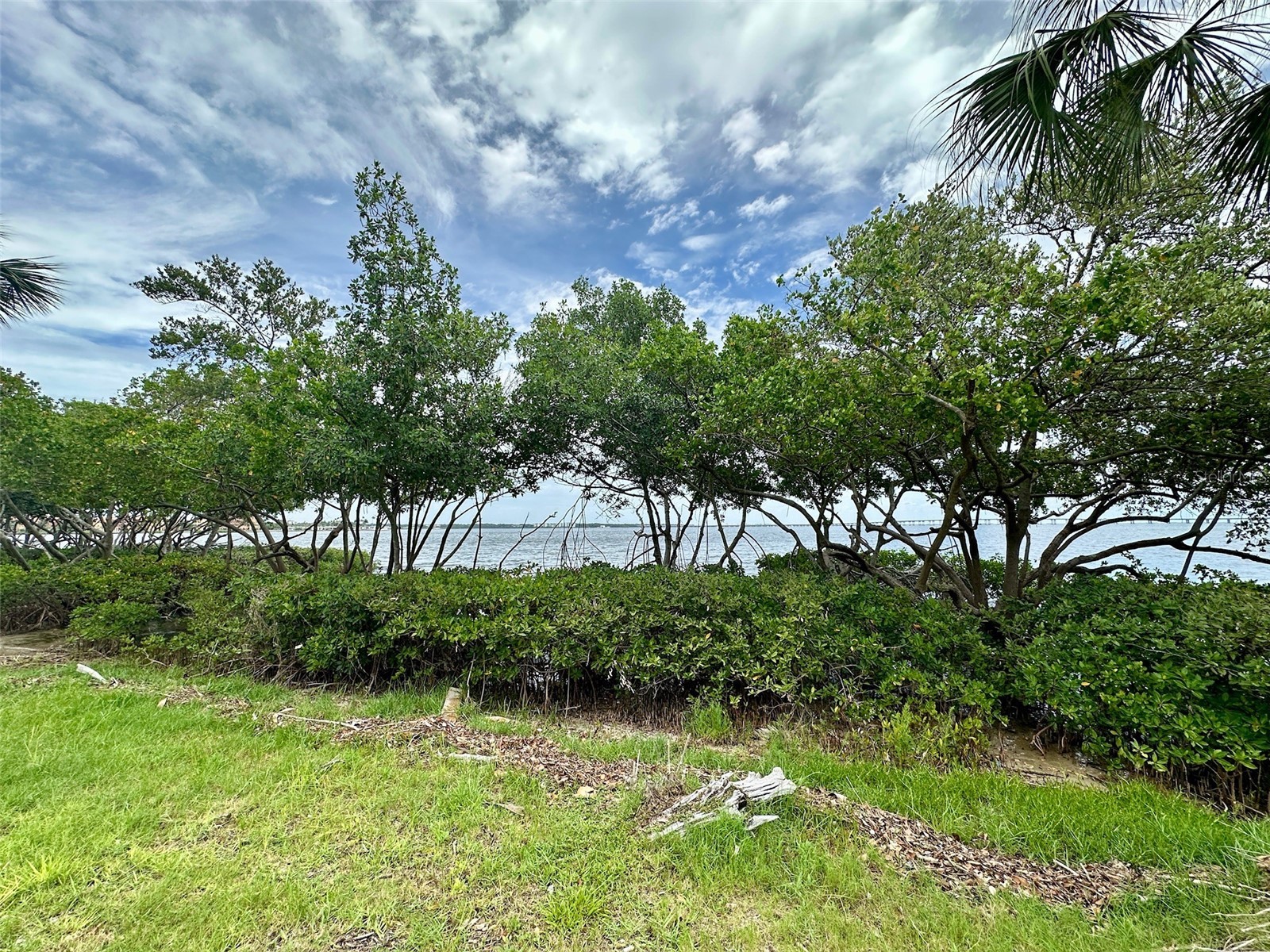 2617 Cove Cay Drive #311 Clearwater FL 33760 TB8514785 image55