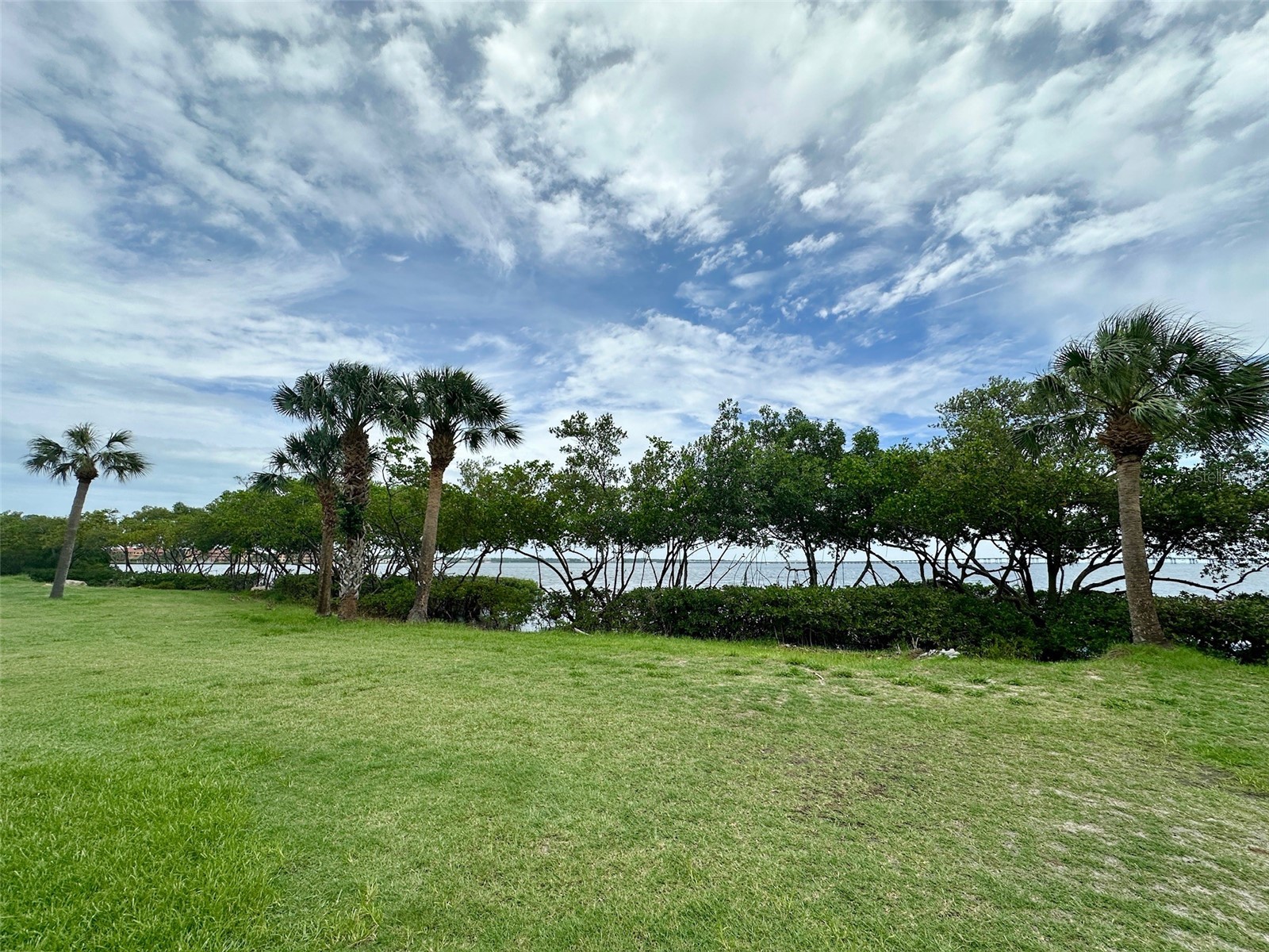 2617 Cove Cay Drive #311 Clearwater FL 33760 TB8514785 image56