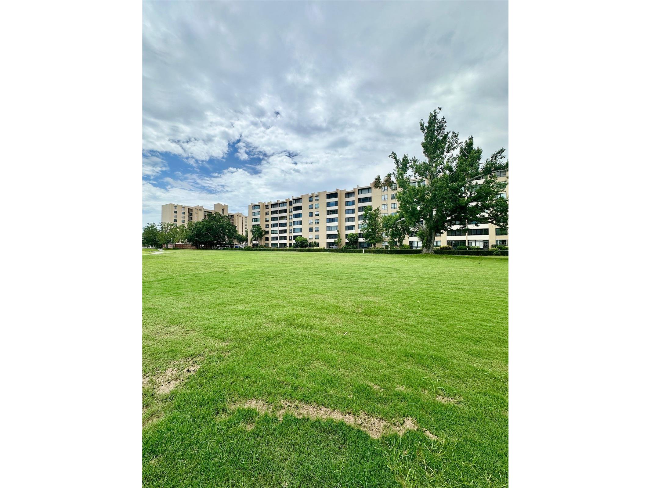 2617 Cove Cay Drive #311 Clearwater FL 33760 TB8514785 image57
