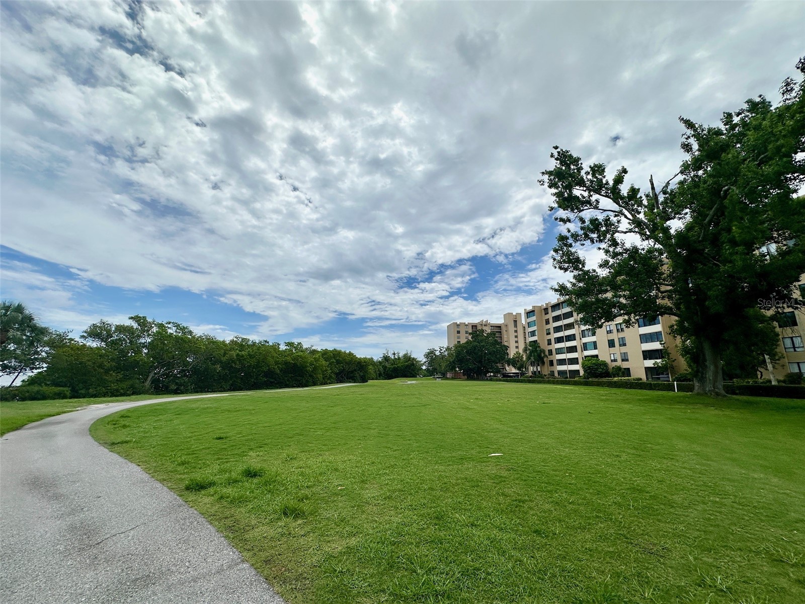 2617 Cove Cay Drive #311 Clearwater FL 33760 TB8514785 image59