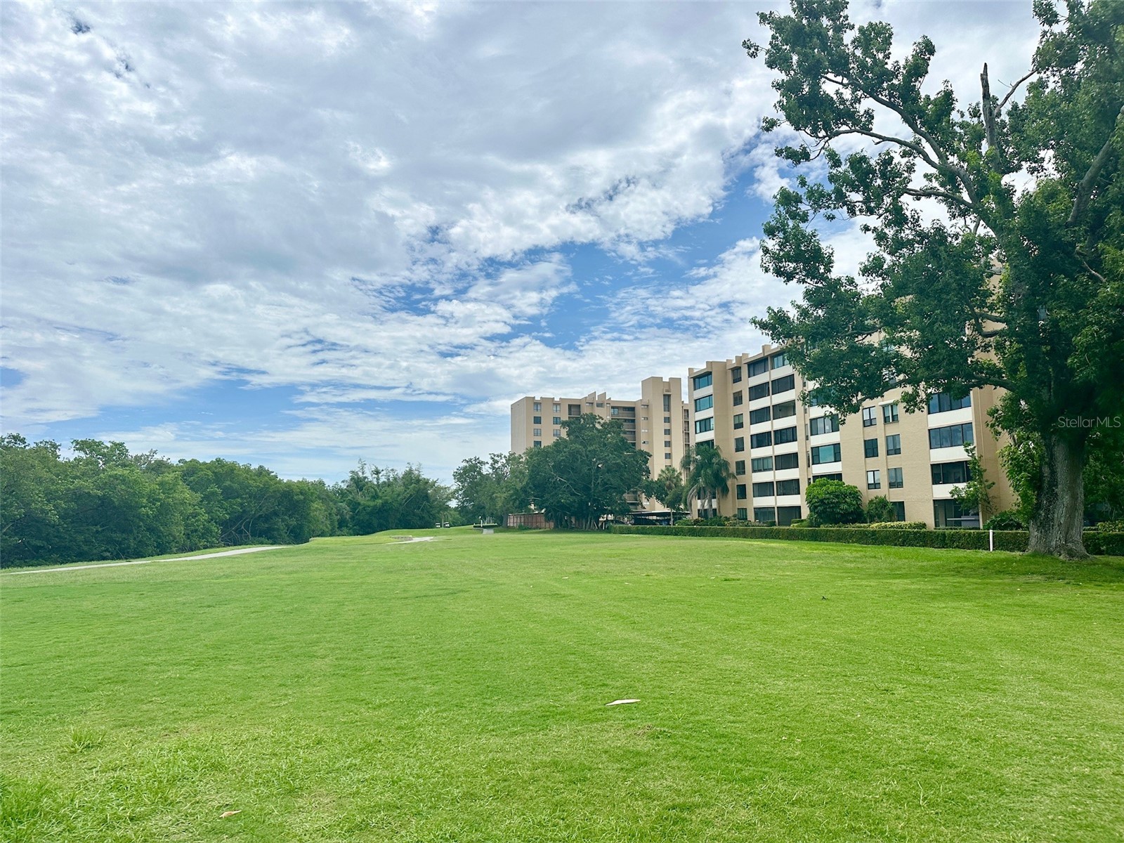 2617 Cove Cay Drive #311 Clearwater FL 33760 TB8514785 image60