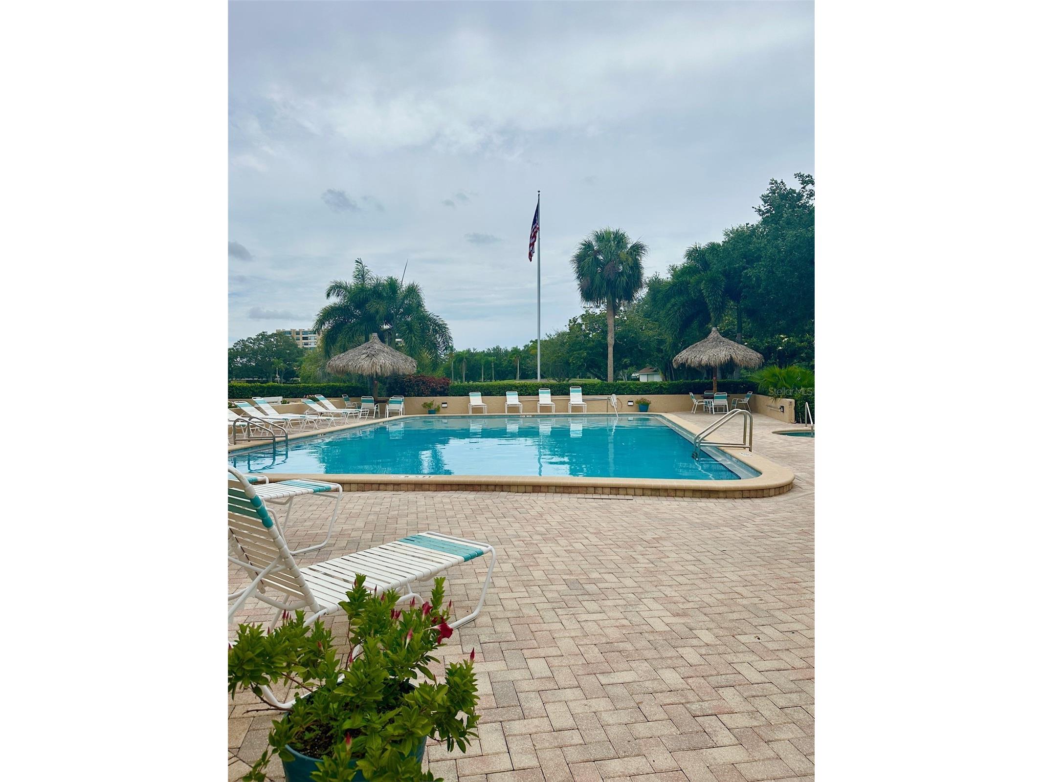 2617 Cove Cay Drive #311 Clearwater FL 33760 TB8514785 image62