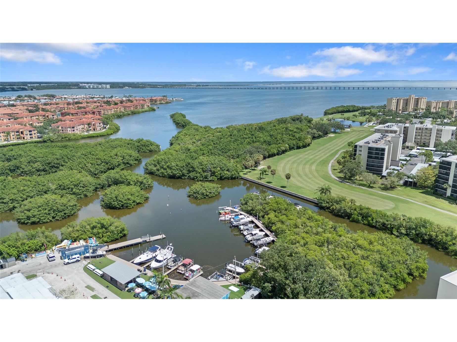 2617 Cove Cay Drive #604 Clearwater FL 33760 - OLD TAMPA BAY D6143407 image25