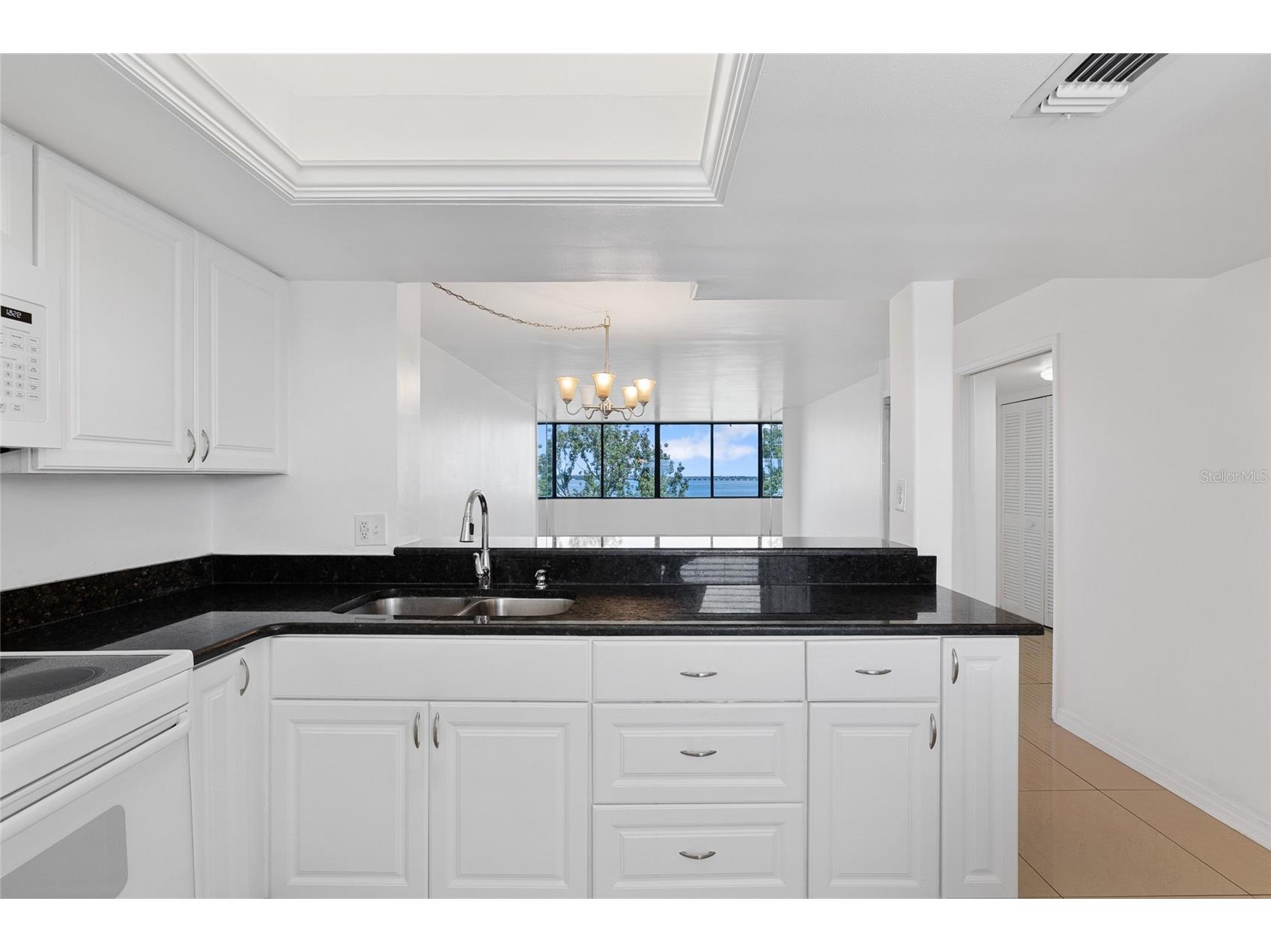 2617 Cove Cay Drive #604 Clearwater FL 33760 - OLD TAMPA BAY D6143407 image8