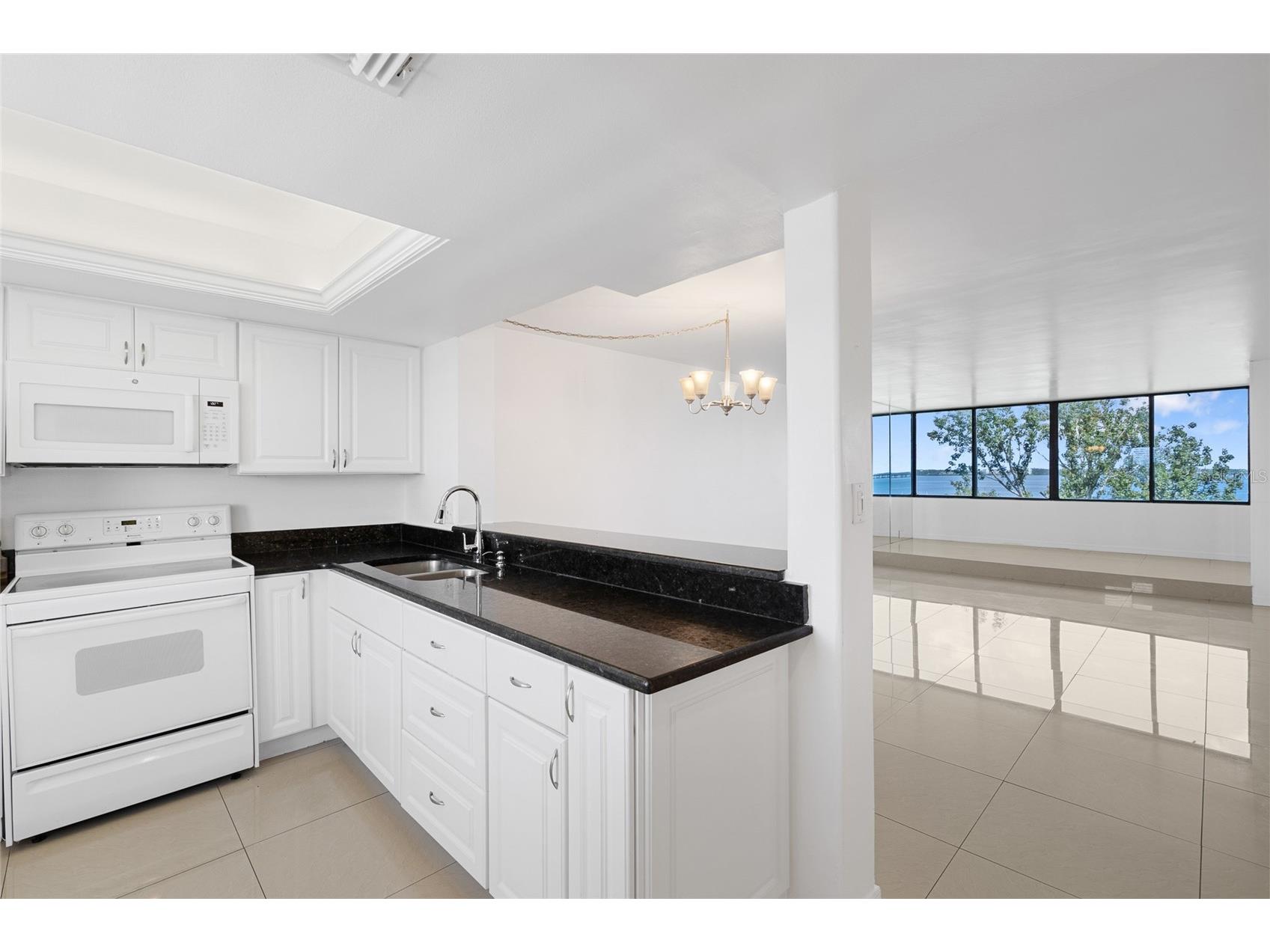 2617 Cove Cay Drive #604 Clearwater FL 33760 - OLD TAMPA BAY D6143407 image9