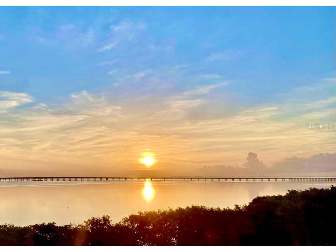 2617 Cove Cay Drive #605 Clearwater FL 33760 - OLD TAMPA BAY U8204955 image1
