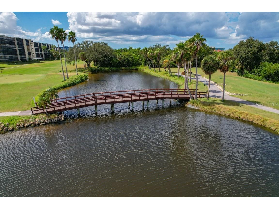 2617 Cove Cay Drive #709 Clearwater FL 33760 - OLD TAMPA BAY TB8434222 image28