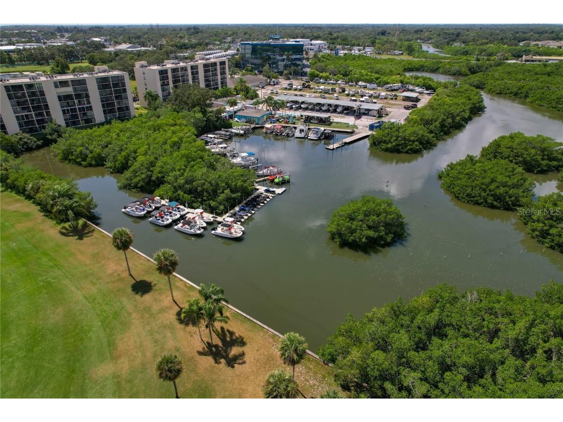 2617 Cove Cay Drive #709 Clearwater FL 33760 - OLD TAMPA BAY TB8434222 image39