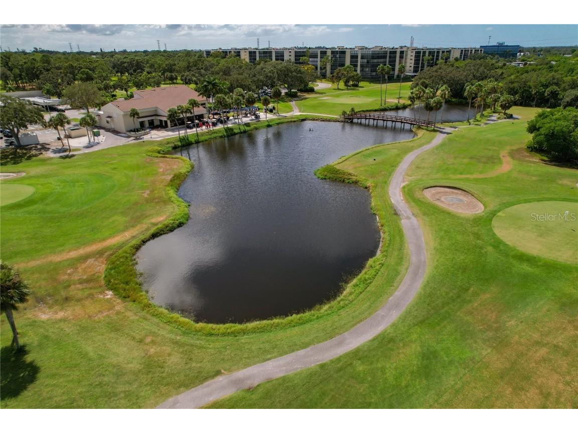 2617 Cove Cay Drive #709 Clearwater FL 33760 - OLD TAMPA BAY TB8434222 image42