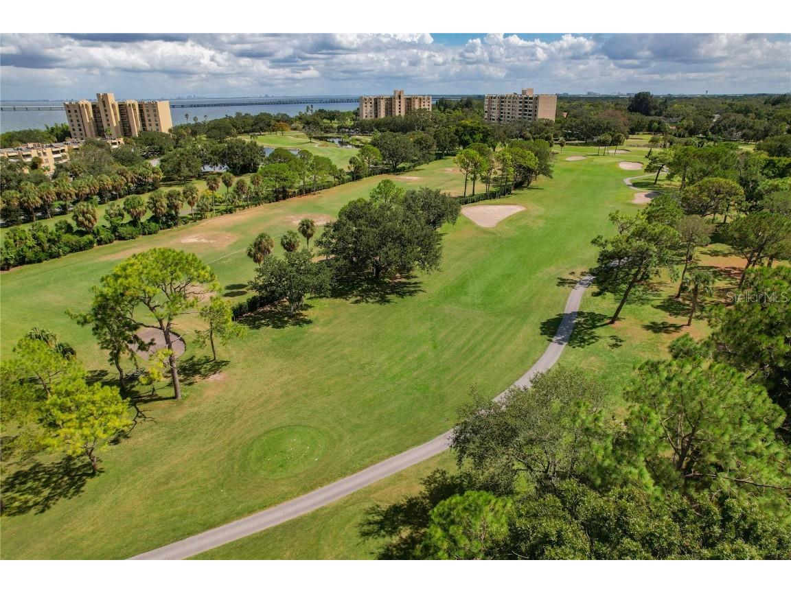 2617 Cove Cay Drive #709 Clearwater FL 33760 - OLD TAMPA BAY TB8434222 image49