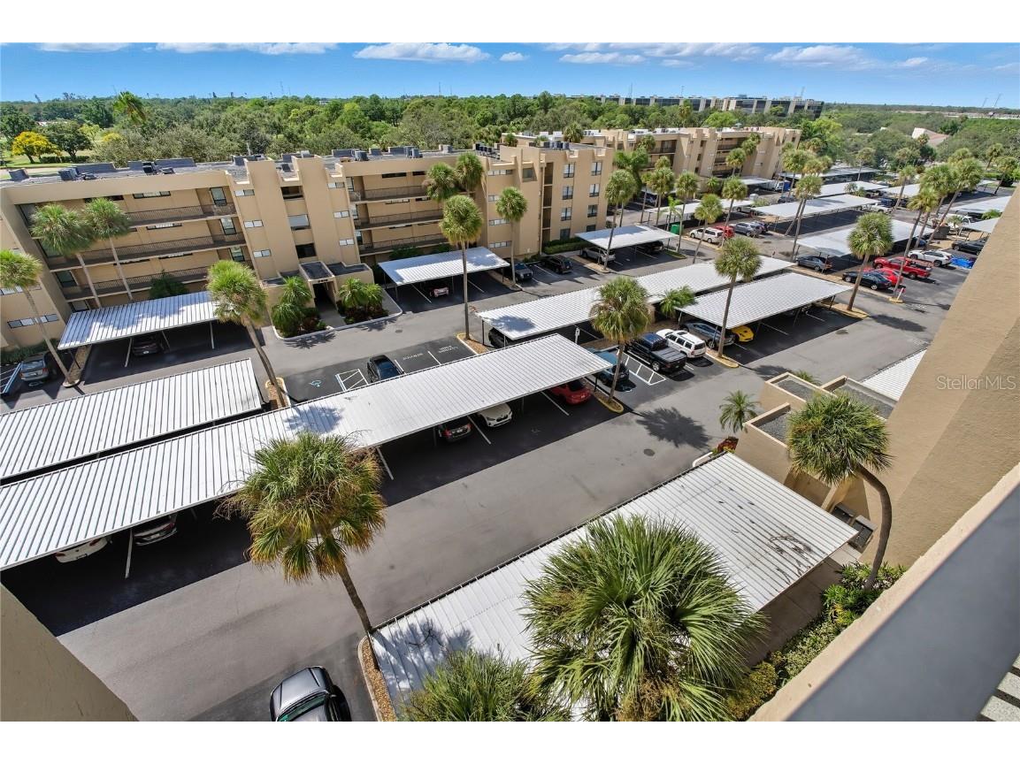 2617 Cove Cay Drive #709 Clearwater FL 33760 - OLD TAMPA BAY TB8434222 image59