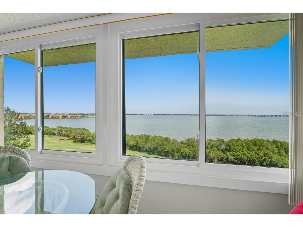 2617 Cove Cay Drive #709 Clearwater FL 33760 - OLD TAMPA BAY TB8434222 image6