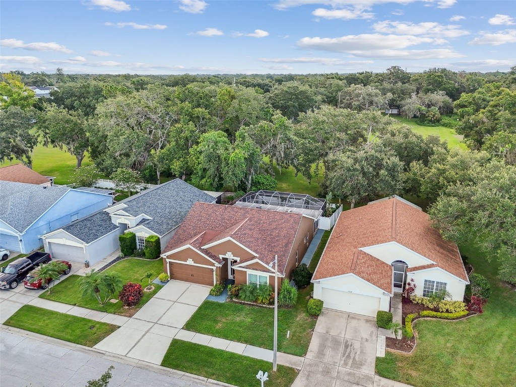 2617 Pegasus Court Brandon FL 33511 TB8409744 image60