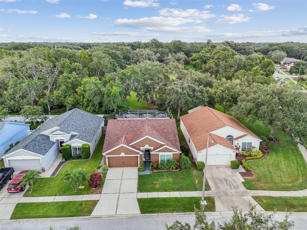 2617 Pegasus Court Brandon FL 33511 TB8409744 image61