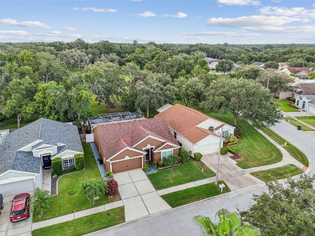 2617 Pegasus Court Brandon FL 33511 TB8409744 image62