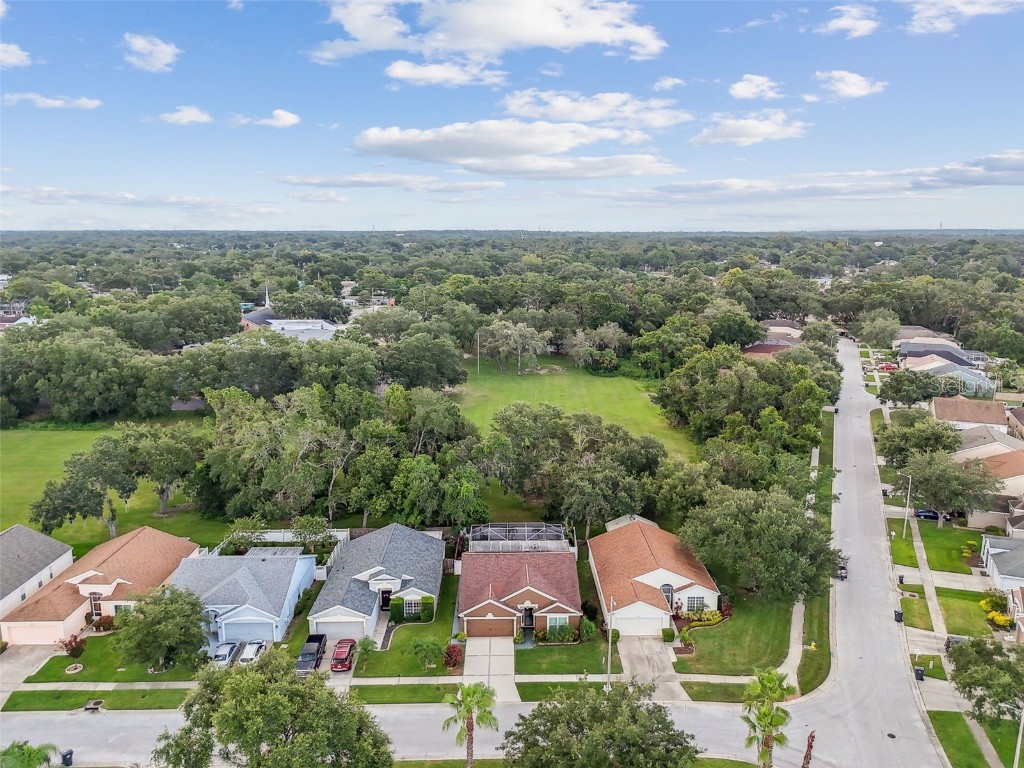 2617 Pegasus Court Brandon FL 33511 TB8409744 image63