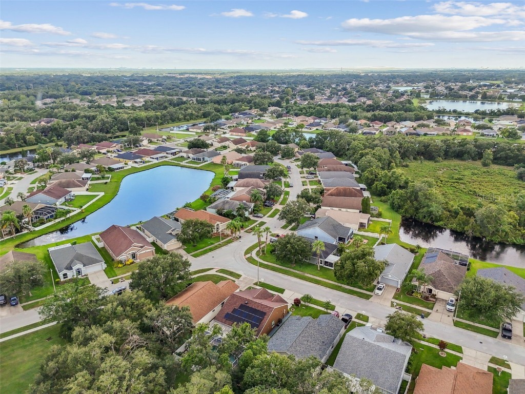 2617 Pegasus Court Brandon FL 33511 TB8409744 image65