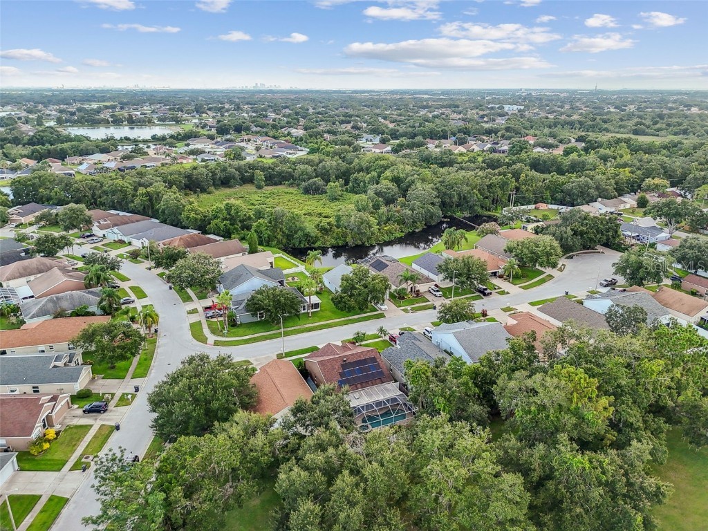 2617 Pegasus Court Brandon FL 33511 TB8409744 image66