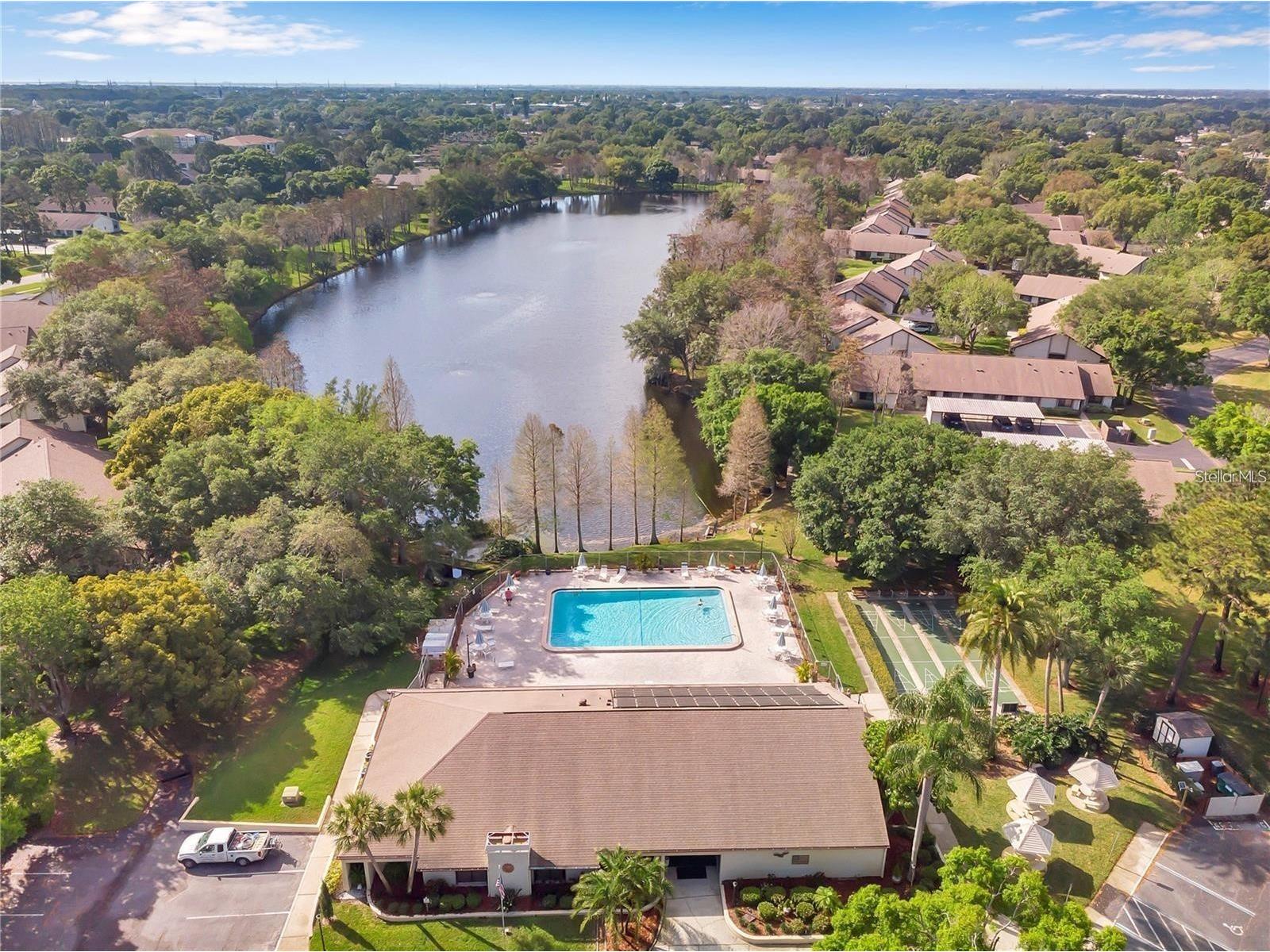 2617 Sycamore Drive Clearwater FL 33763 TB8465212 image37