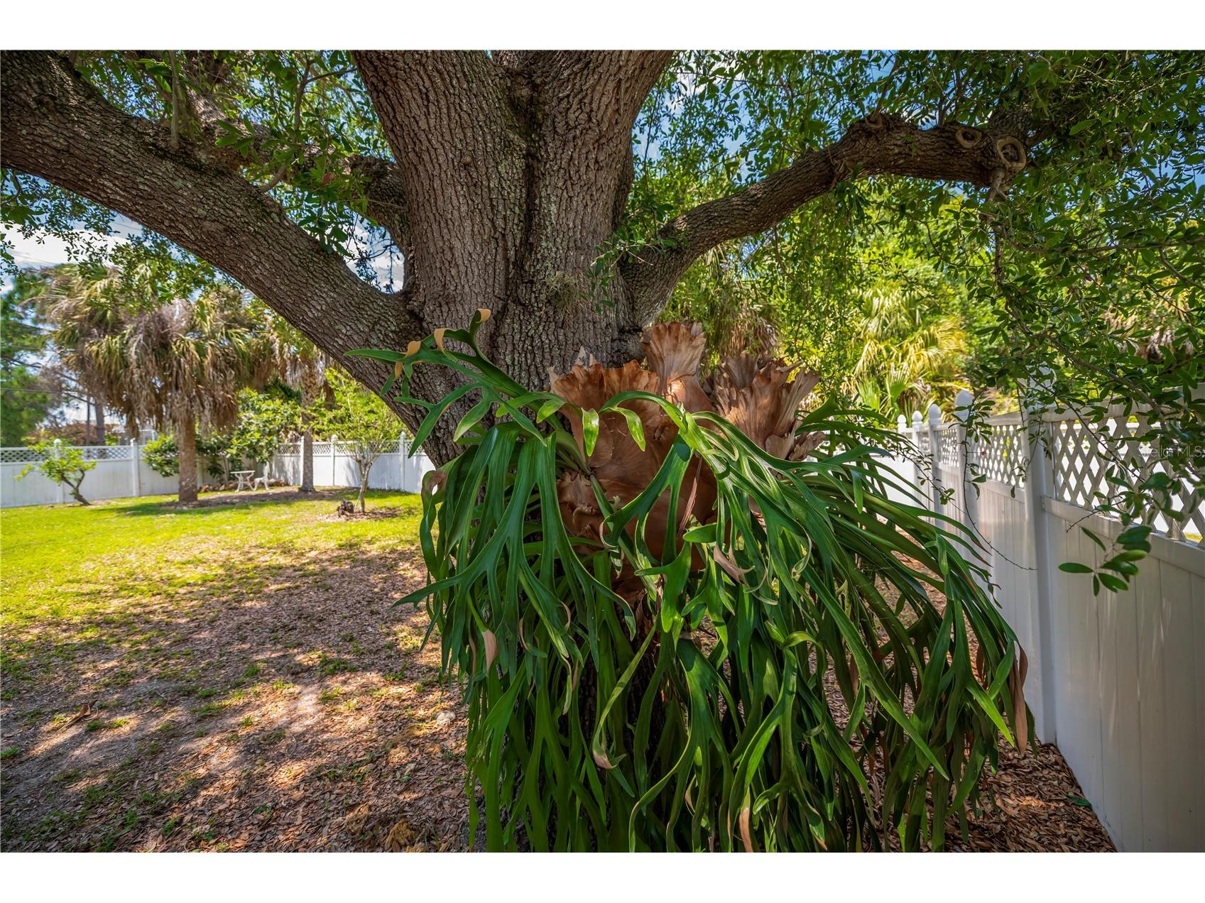 2618 8th Street W Lehigh Acres FL 33971 OM723805 image24