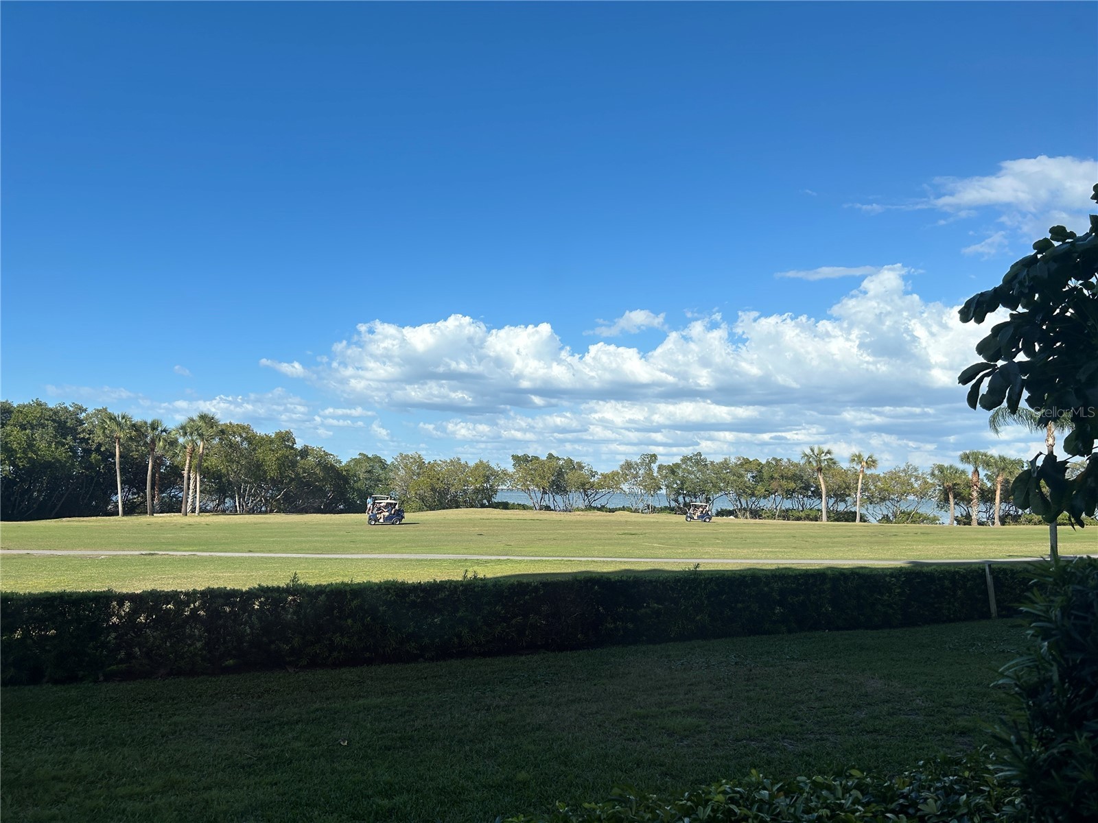 2618 Cove Cay Drive #103 Clearwater FL 33760 TB8499564 image23