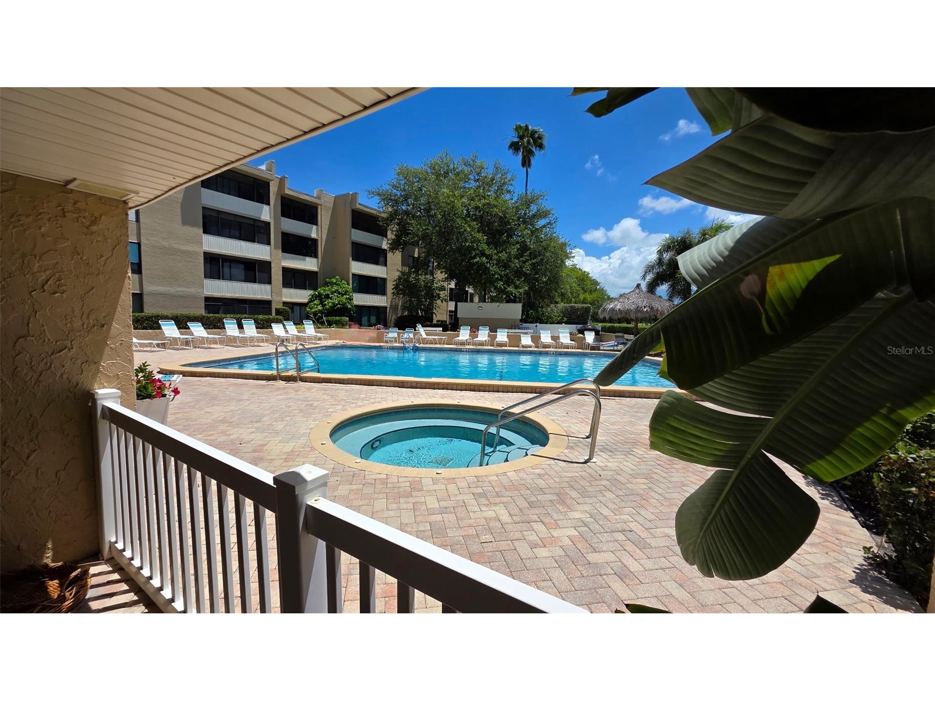 2618 Cove Cay Drive #103 Clearwater FL 33760 TB8499564 image26