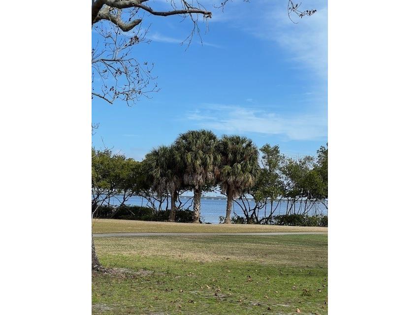 2618 Cove Cay Drive #204 Clearwater FL 33760 U8241796 image1