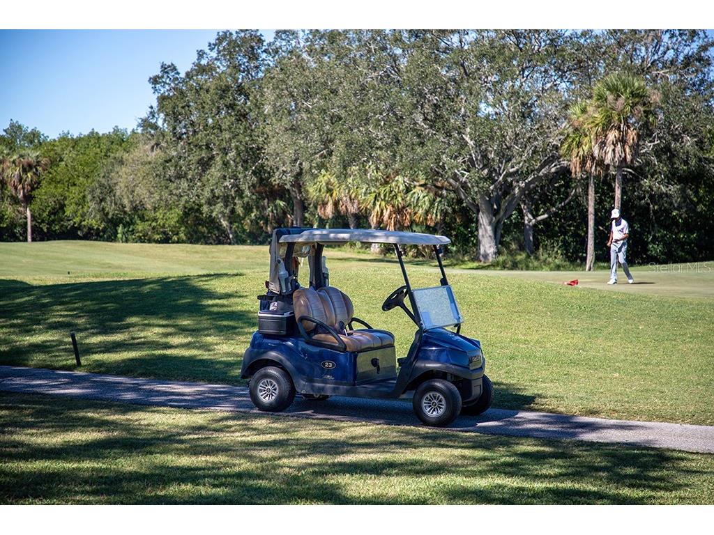 2618 Cove Cay Drive #204 Clearwater FL 33760 - TAMPA BAY TB8478265 image41