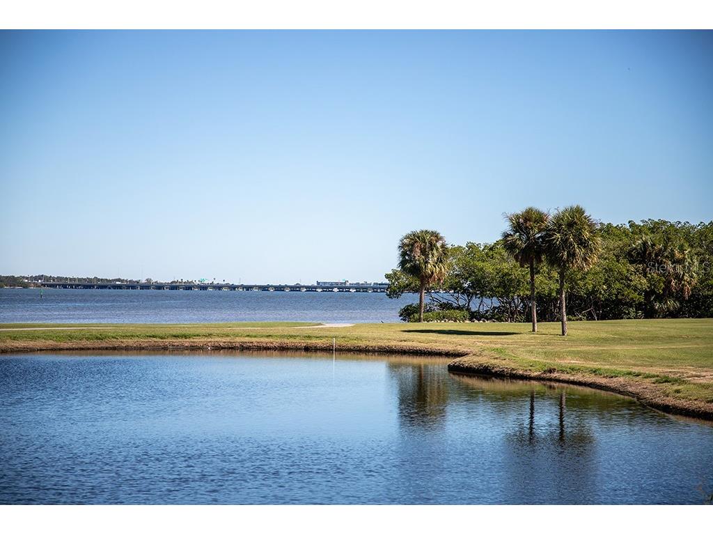 2618 Cove Cay Drive #204 Clearwater FL 33760 - TAMPA BAY TB8478265 image43