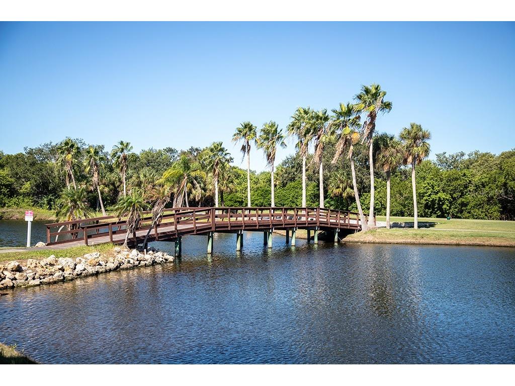 2618 Cove Cay Drive #204 Clearwater FL 33760 - TAMPA BAY TB8478265 image44