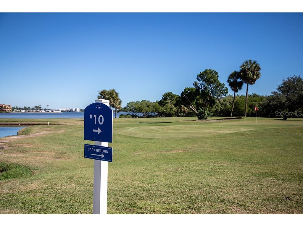 2618 Cove Cay Drive #204 Clearwater FL 33760 - TAMPA BAY TB8478265 image46