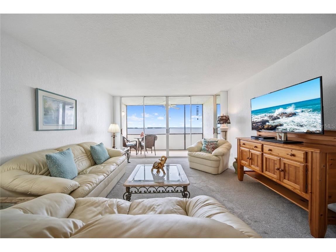 2618 Cove Cay Drive #706 Clearwater FL 33760 - TAMPA BAY TB8412543 image11