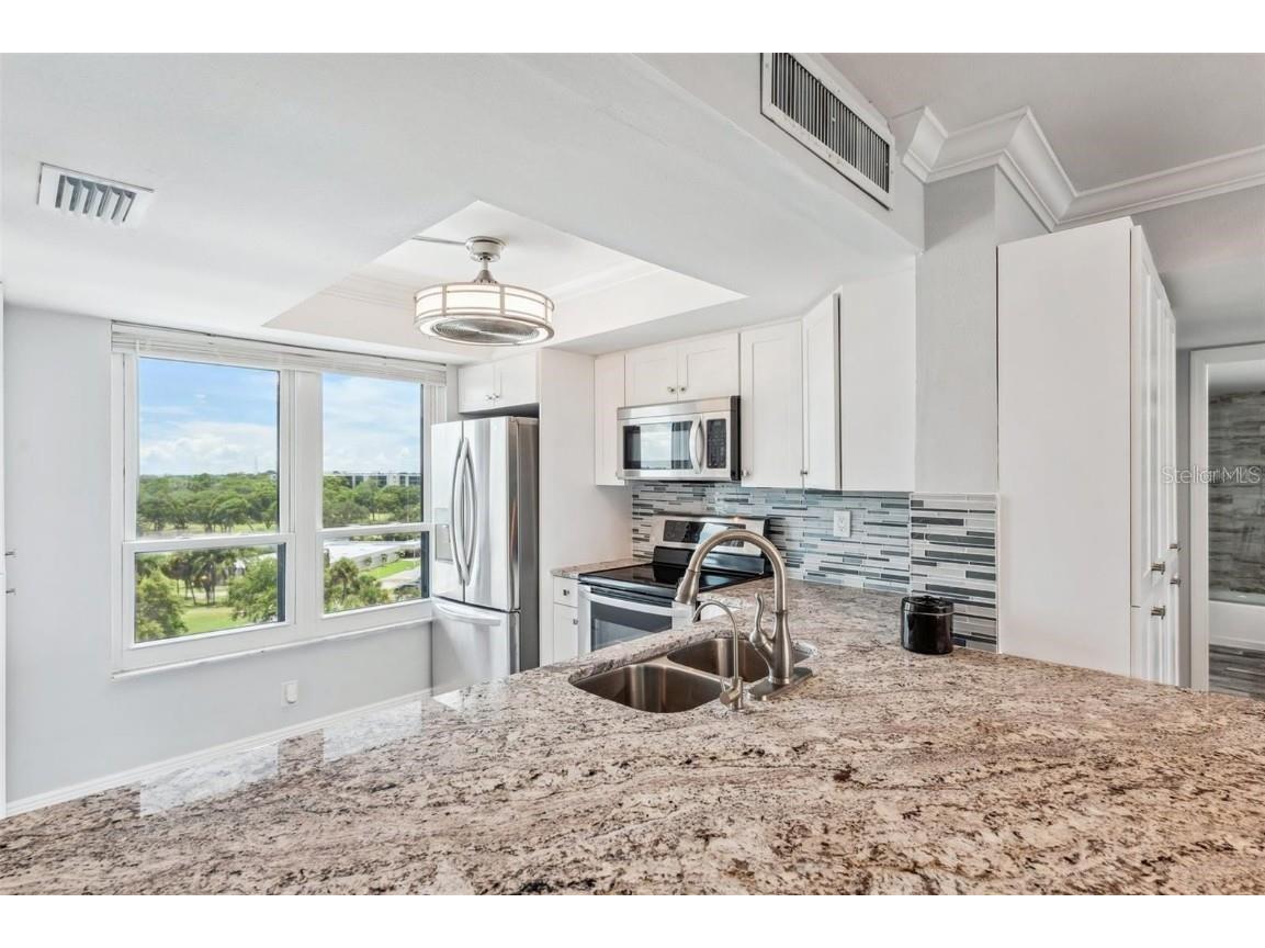 2618 Cove Cay Drive #801 Clearwater FL 33760 TB8432424 image7