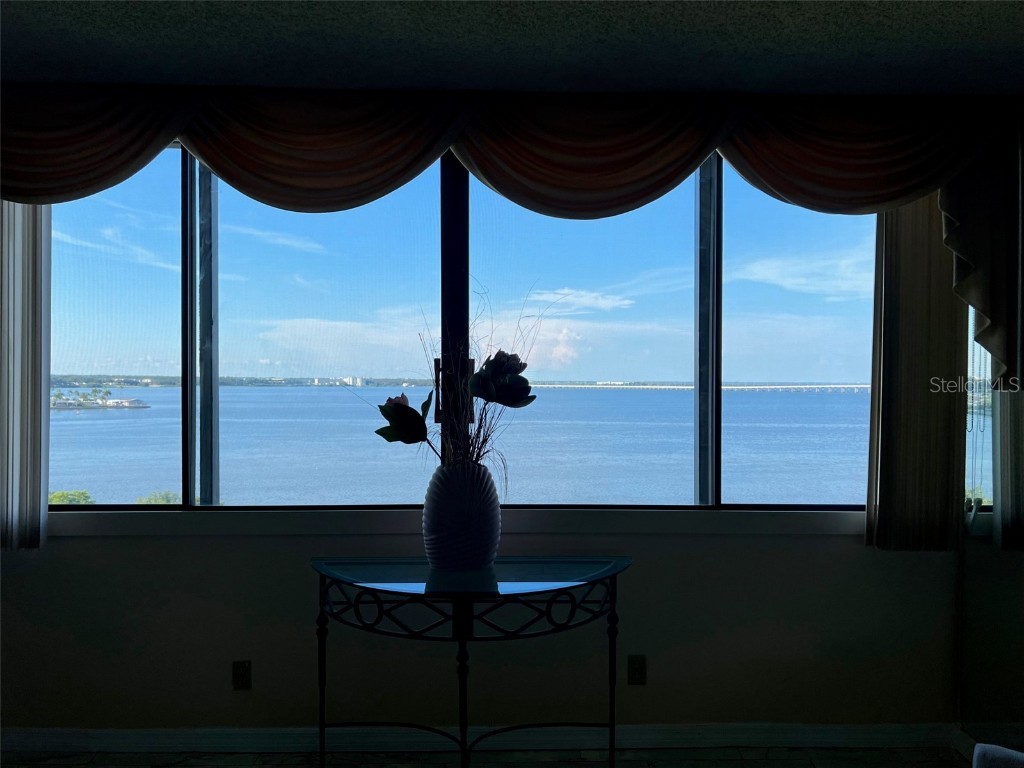 2618 Cove Cay Drive #909 Clearwater FL 33760 U8210159 image1