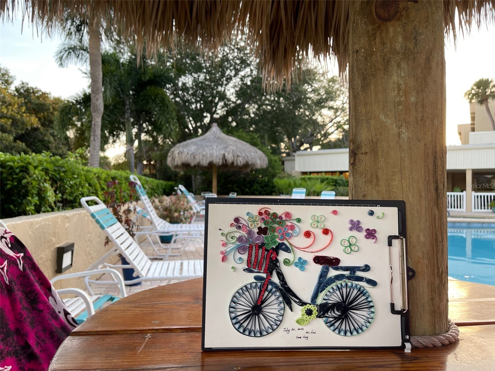 2618 Cove Cay Drive #909 Clearwater FL 33760 TB8467287 image14