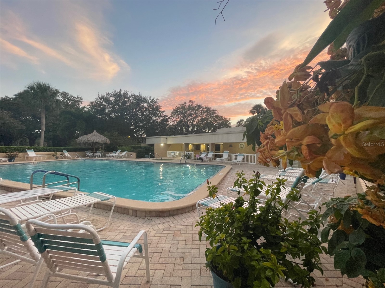 2618 Cove Cay Drive #909 Clearwater FL 33760 TB8467287 image16