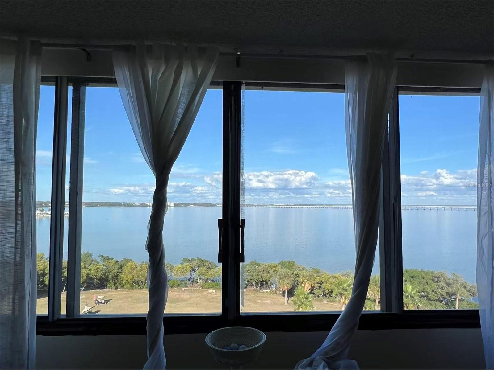 2618 Cove Cay Drive #909 Clearwater FL 33760 TB8467287 image3