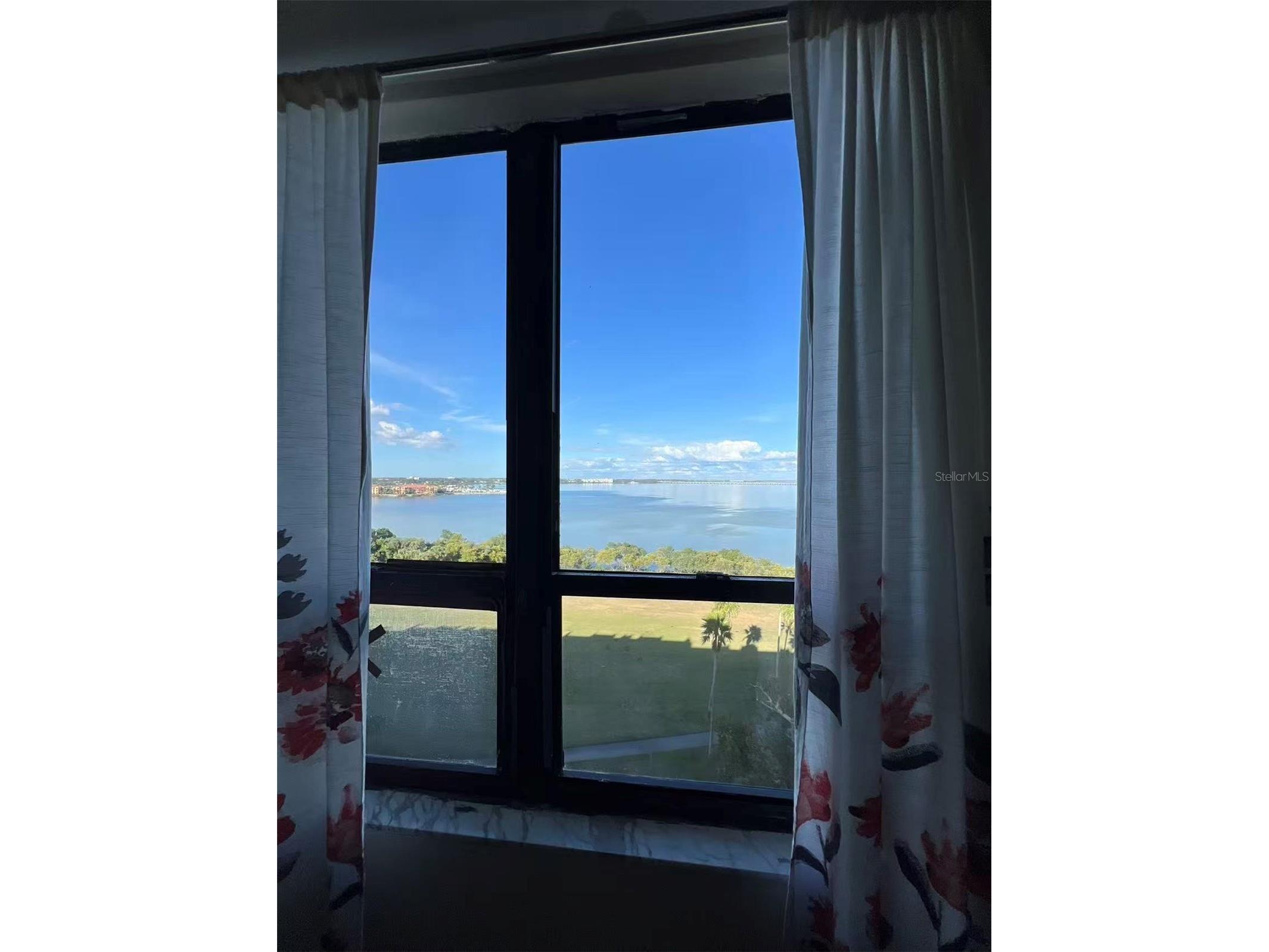 2618 Cove Cay Drive #909 Clearwater FL 33760 TB8467287 image6