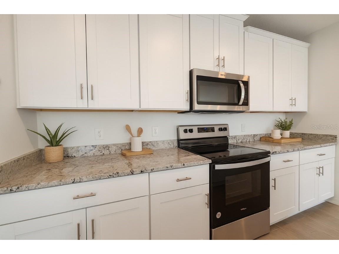 2618 Irish Elk Avenue Davenport FL 33837 V4945651 image8