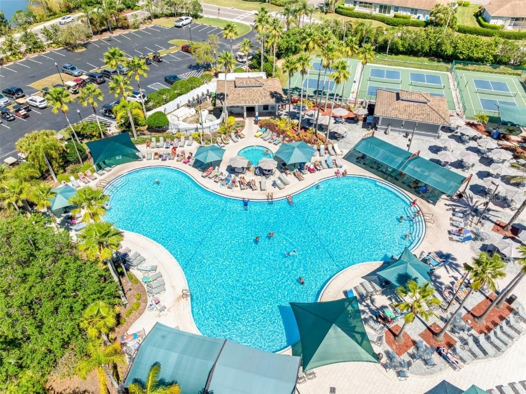 2618 Newcomb Court #12 Sun City Center FL 33573 TB8364941 image41