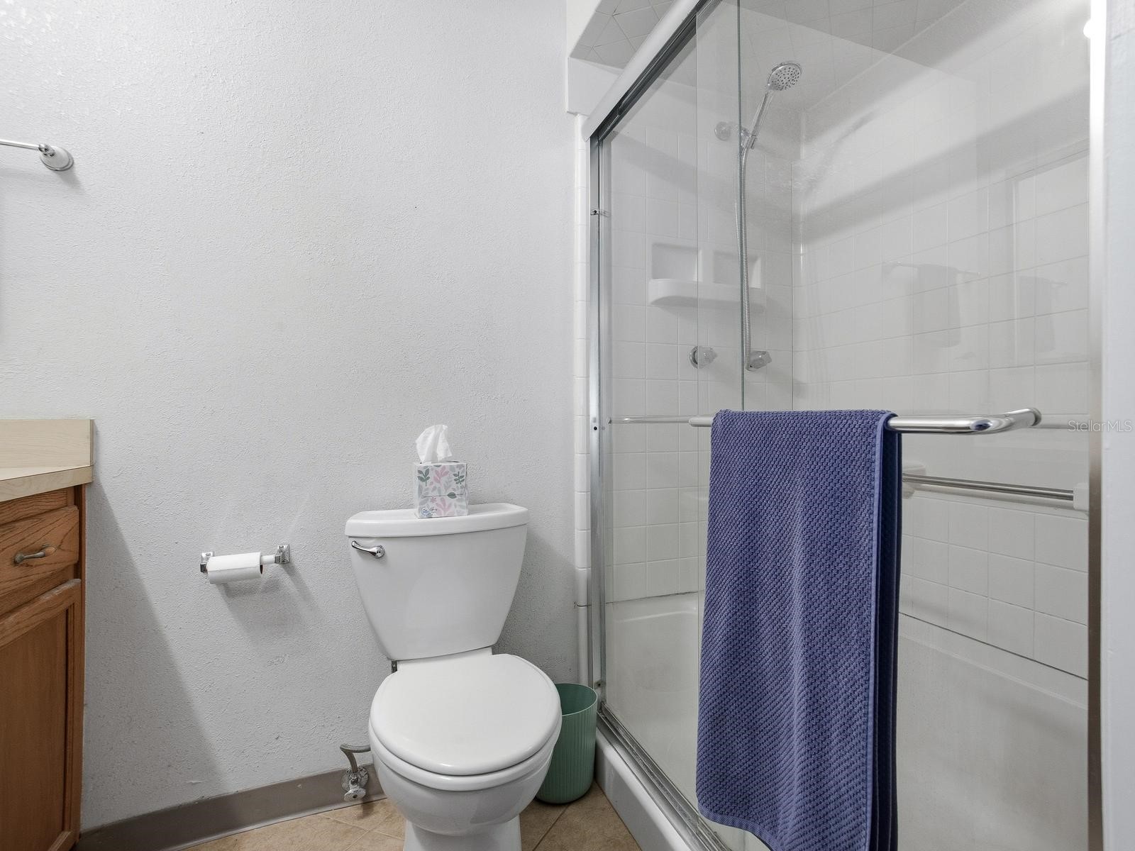 2618 Ridgetop Way Valrico FL 33594 TB8508004 image24