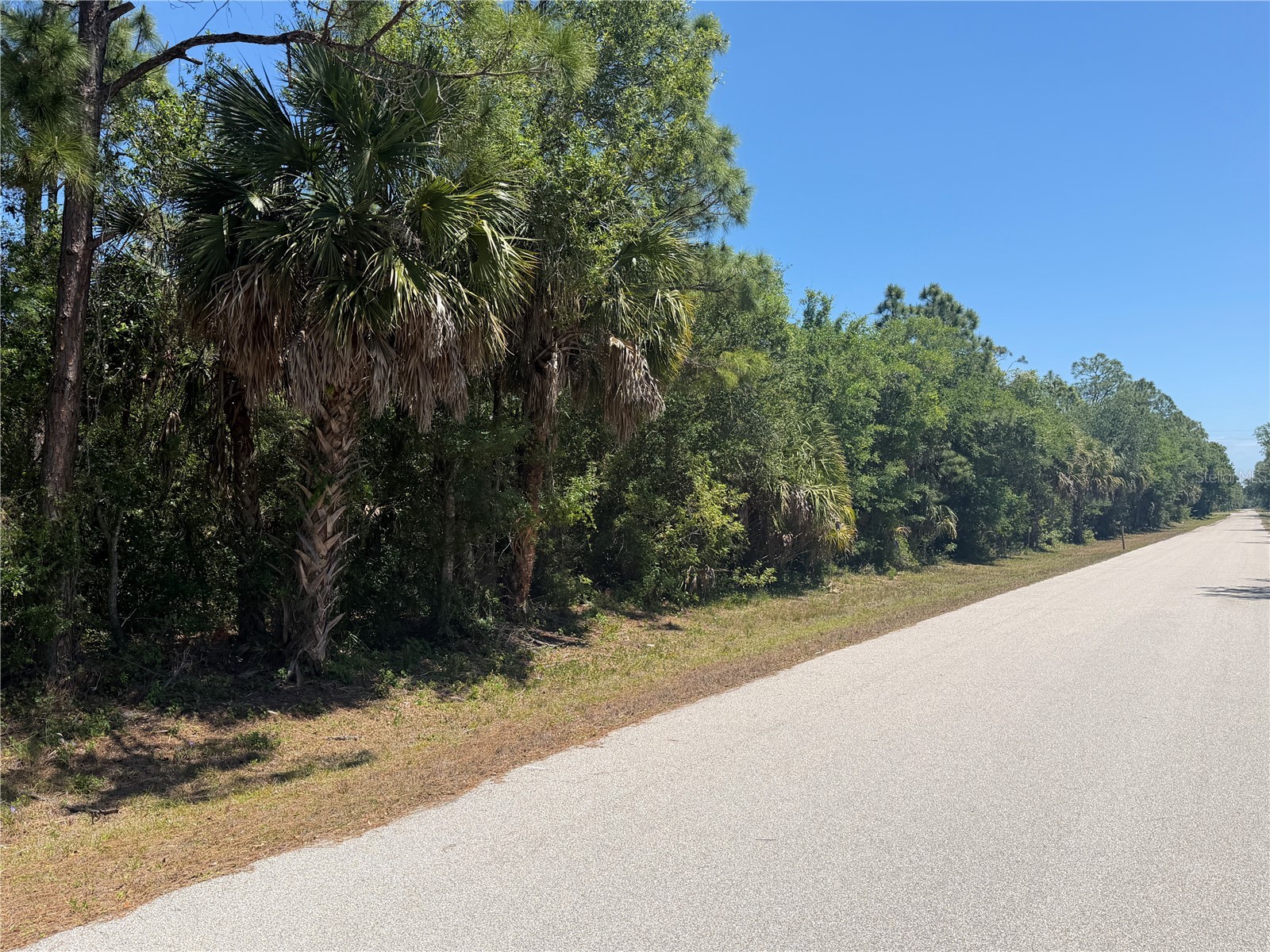 26180 Hapsburg Road Punta Gorda FL 33955 TB8498744 image6