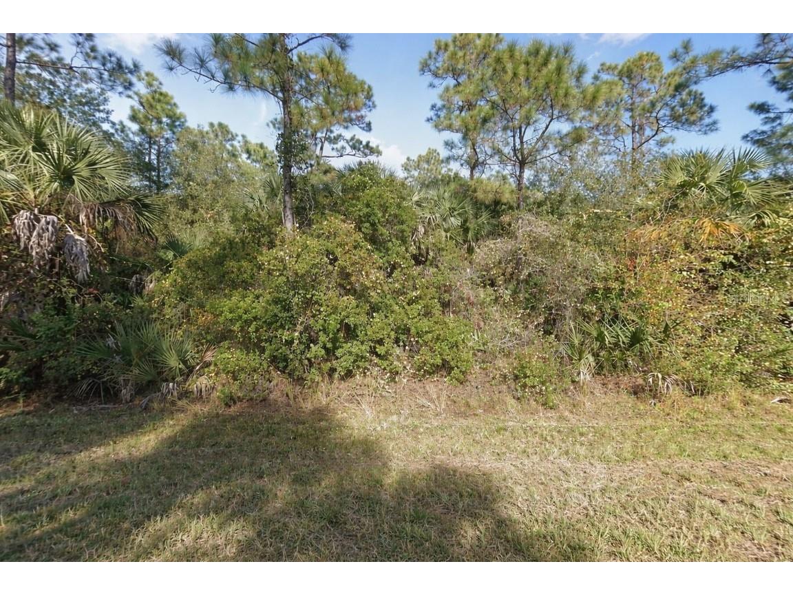 26184 Custer Road Punta Gorda FL 33955 C7519908 image3