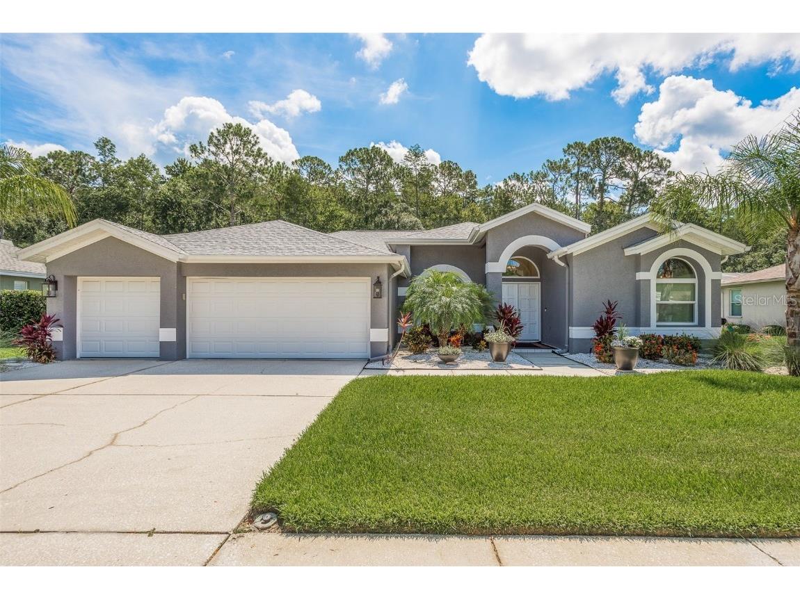 2619 Appaloosa Trail Palm Harbor FL 34685 U8206054 image1