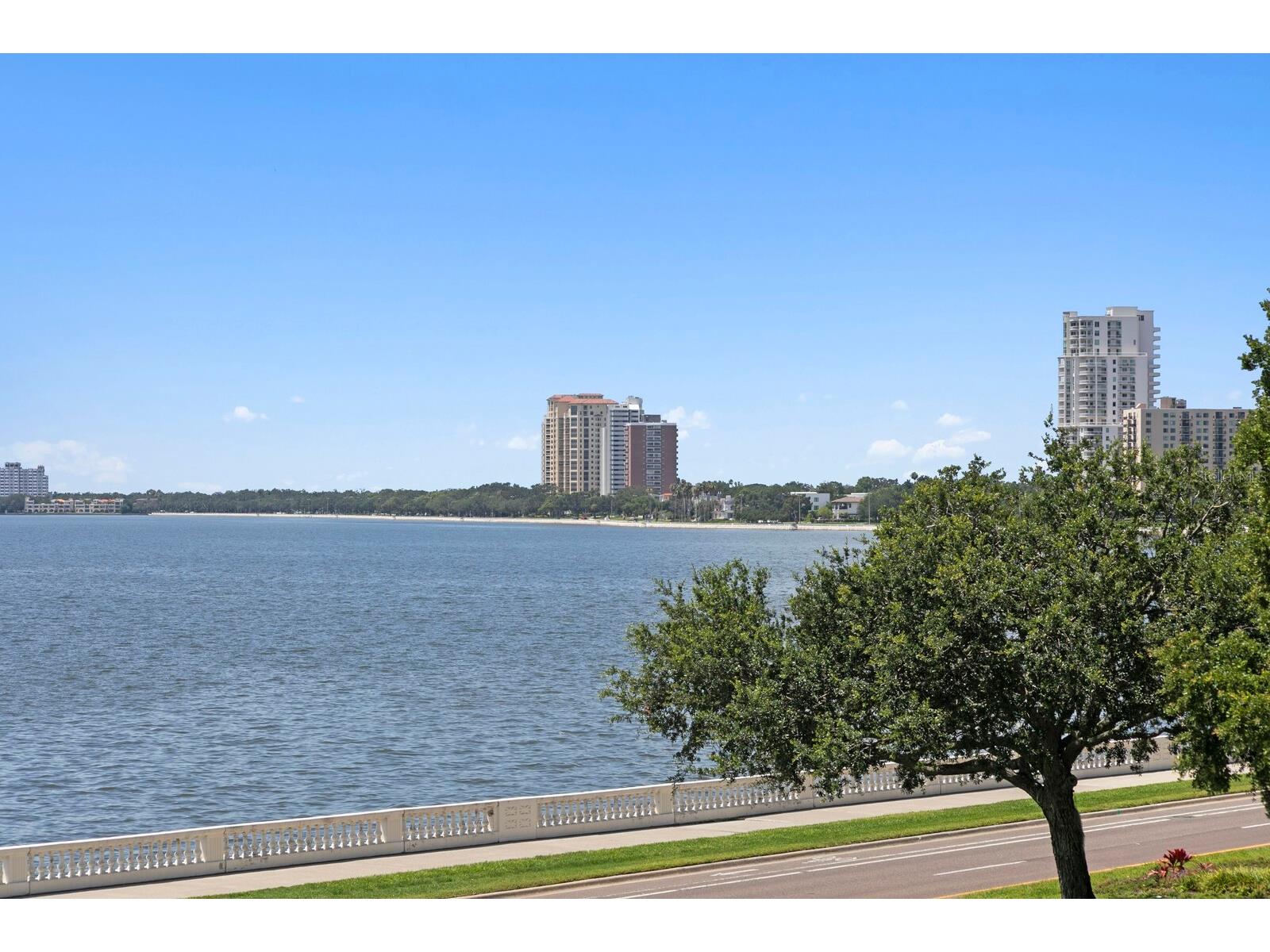 2619 Bayshore Boulevard #200 Tampa FL 33629 TB8482813 image46