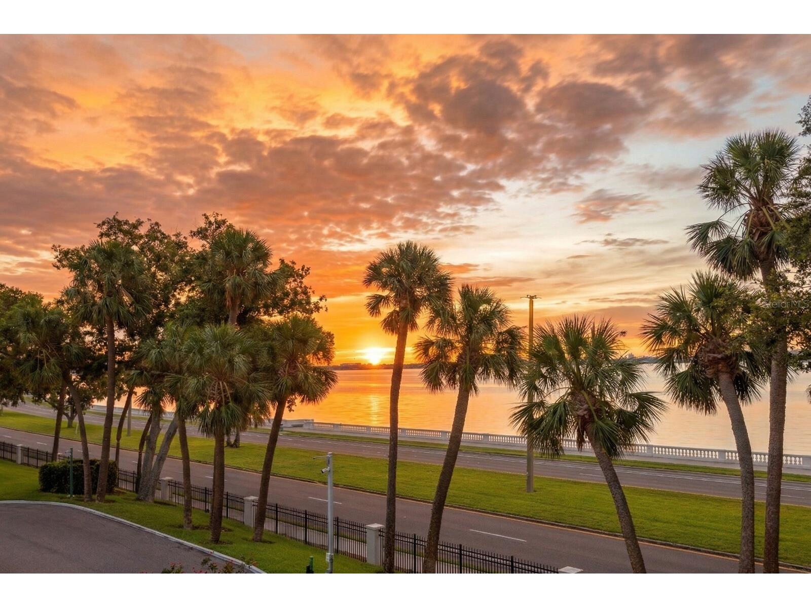 2619 Bayshore Boulevard #200 Tampa FL 33629 TB8482813 image48