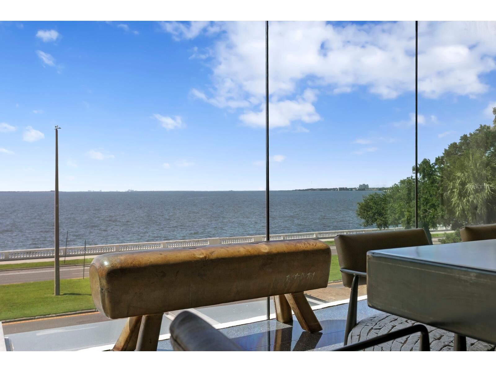 2619 Bayshore Boulevard #200 Tampa FL 33629 TB8482813 image6