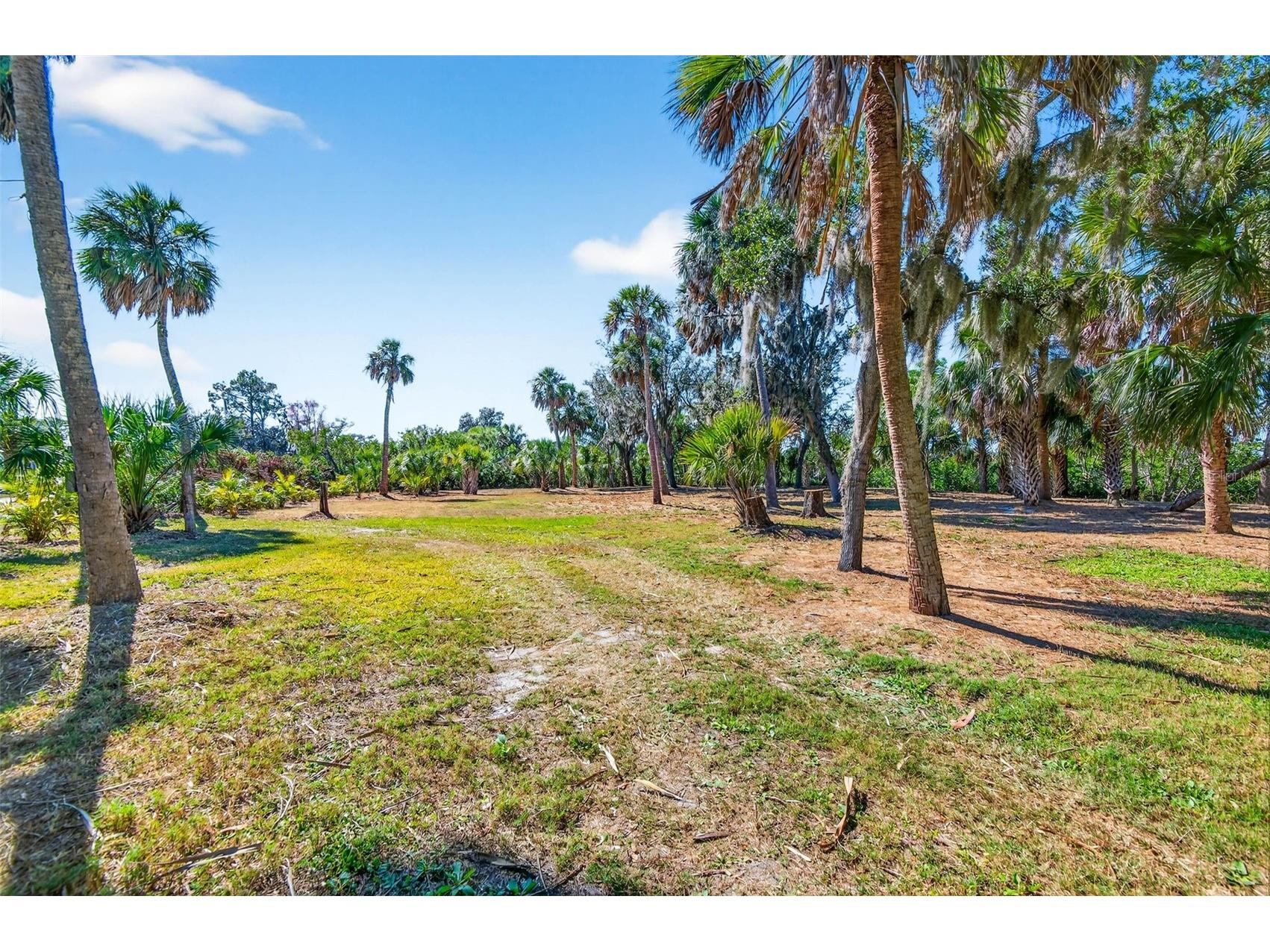 2619 River Bend Drive Ruskin FL 33570 - HAYES BAYOU TB8472284 image10
