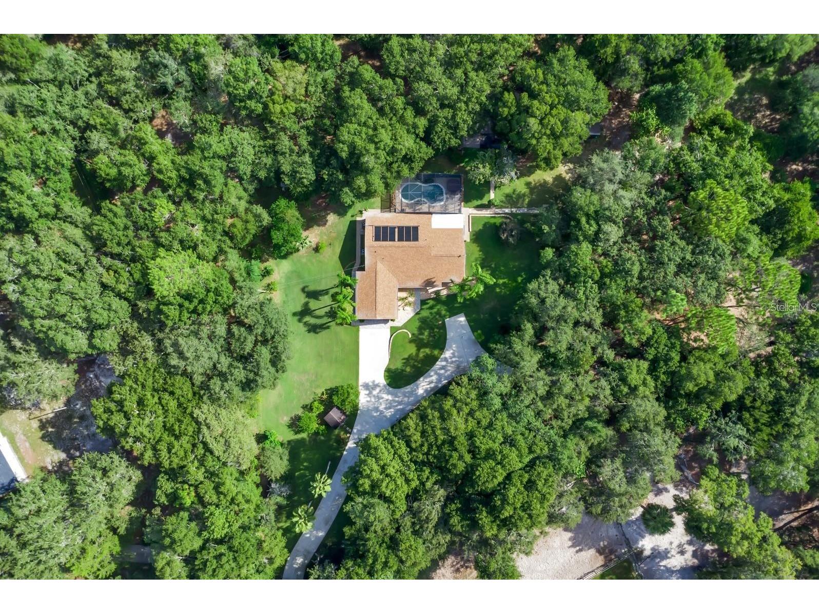 2619 W Ponkan Road Apopka FL 32712 O6418842 image2