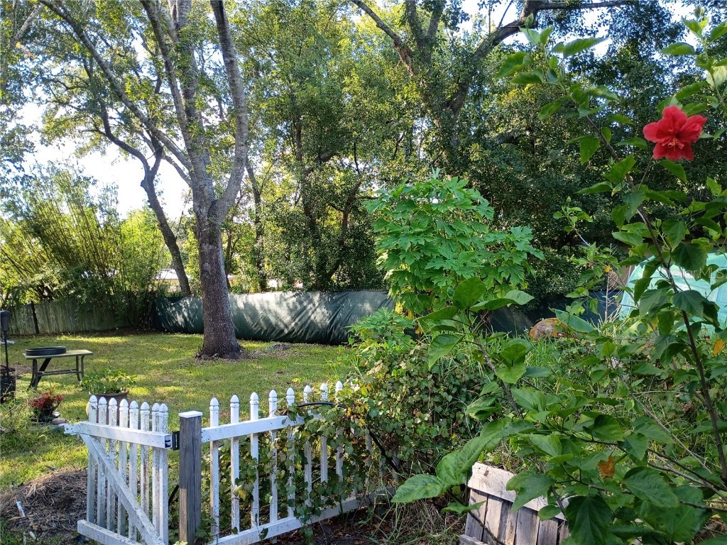 262 Clara Vista Street Debary FL 32713 S5135075 image36